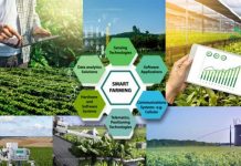 Nông sản Việt bứt phá nhờ… chuyển đổi số