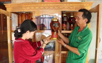 Thu nhập gần 300 triệu đồng/năm từ nuôi hươu lấy nhung và cây ăn trái