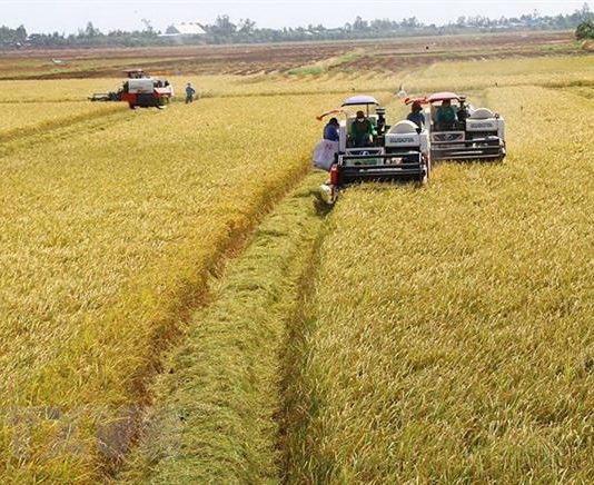 Ngành nông nghiệp triển khai kế hoạch giảm phát thải trong trồng trọt đến năm 2050