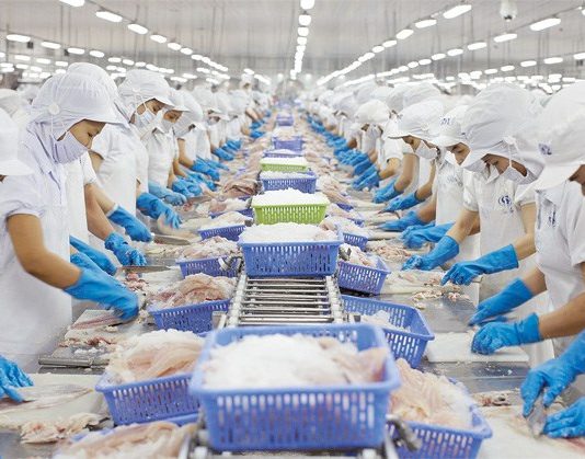 Thủy sản Việt Nam đón tín hiệu lạc quan từ thị trường Mỹ