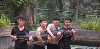 Cá tầm “khổng lồ’” sẽ được bán tại Tuần lễ Nông sản Việt 2025