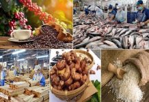 Xuất khẩu nông, lâm, thủy sản 7 tháng tăng 14,7%