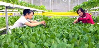 Cơ chế “chìa khóa” đón đầu xu thế kinh tế tuần hoàn với doanh nghiệp Việt