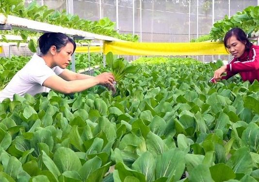 Cơ chế “chìa khóa” đón đầu xu thế kinh tế tuần hoàn với doanh nghiệp Việt