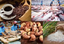 Xuất khẩu nông, lâm, thủy sản tăng tốc, hướng mục tiêu 70 tỷ USD năm 2025