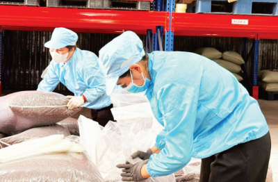 Tạo giá trị gia tăng, bền vững cho nông sản