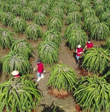 Thiết lập hệ thống xét cấp chứng nhận minh bạch cho sản phẩm hữu cơ