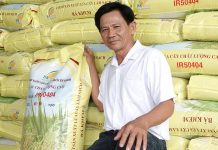Lão nông tỷ phú Cần Thơ – làm giàu từ lúa giống và chuyện giúp người ai cũng nể