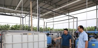 Doanh nghiệp Việt cùng nông dân đưa nông sản vươn tầm quốc tế