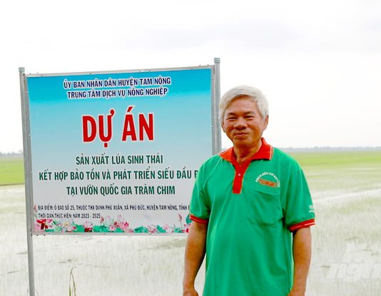 Độc đáo mô hình ‘lúa gọi sếu về’