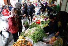 Chất lượng nông sản nội địa: Khi không ai dám chịu trách nhiệm cuối cùng