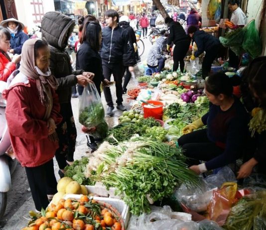 Chất lượng nông sản nội địa: Khi không ai dám chịu trách nhiệm cuối cùng