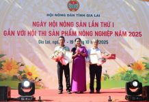 Gia Lai: Tôn vinh nông dân sáng tạo, mở lối cho nông nghiệp bền vững