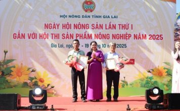 Gia Lai: Tôn vinh nông dân sáng tạo, mở lối cho nông nghiệp bền vững