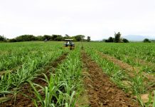 Động lực thúc đẩy kinh tế Gia Lai