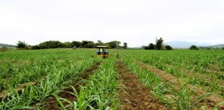 Động lực thúc đẩy kinh tế Gia Lai