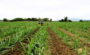 Động lực thúc đẩy kinh tế Gia Lai