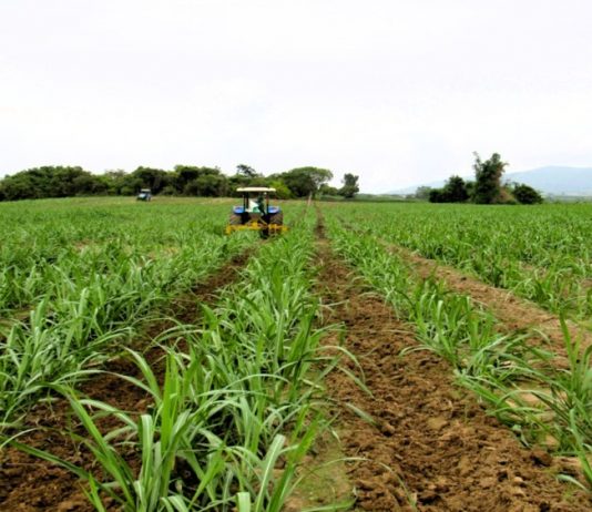 Động lực thúc đẩy kinh tế Gia Lai