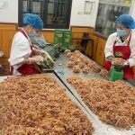 Xã Phúc Hòa đẩy nhanh tiến độ hoàn thiện hồ sơ OCOP – Khẳng định chất lượng đặc sản địa phương