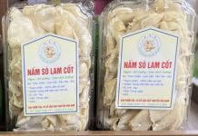 Sản phẩm OCOP Nấm sò Lam Cốt mở hướng phát triển mới cho địa phương