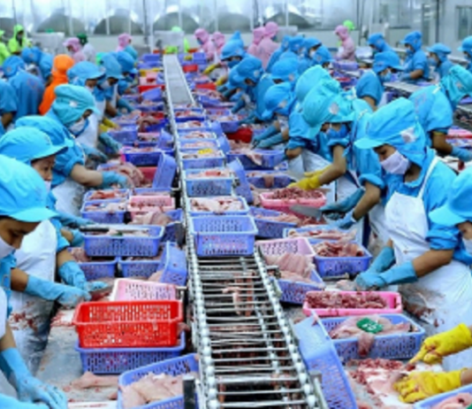 Hai kịch bản cho xuất khẩu thủy sản Việt Nam nửa cuối năm 2025