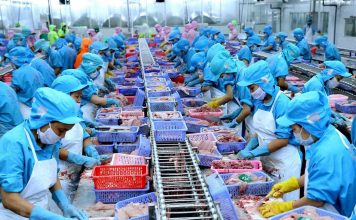 Thủy sản Việt Nam đa dạng sản phẩm và nâng cao giá trị nhằm đảm bảo tăng trưởng xuất khẩu