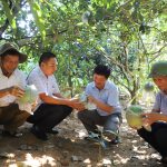 Mô hình mới là động lực giúp nông dân một huyện ở Hà Giang nâng cao thu nhập, giảm nghèo bền vững