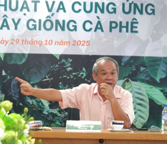 Hoàng Anh Gia Lai đầu tư mạnh mẽ, trồng mới 10.000 ha cà phê