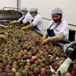 Siết kiểm soát chất lượng để giữ thị trường Trung Quốc