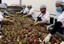 Siết kiểm soát chất lượng để giữ thị trường Trung Quốc