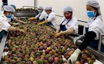 Siết kiểm soát chất lượng để giữ thị trường Trung Quốc