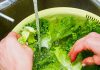 Mẹo rửa rau như thế nào để loại bỏ thuốc trừ sâu gây hại