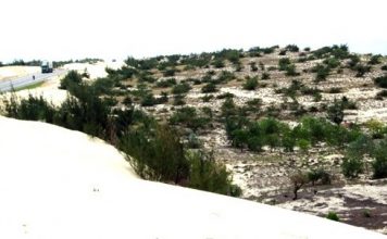 Nữ cán bộ đánh thức tiềm năng vùng gió Lào, cát trắng