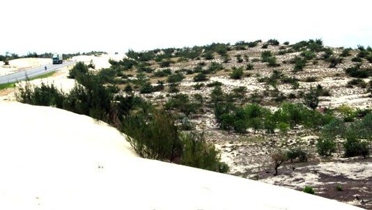 Nữ cán bộ đánh thức tiềm năng vùng gió Lào, cát trắng