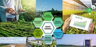 Nông sản Việt bứt phá nhờ… chuyển đổi số