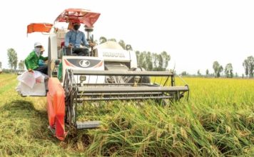 Hài hòa trong đầu tư cơ giới hóa nông nghiệp