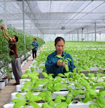 Cuộc thi khởi nghiệp nông nghiệp 2025: Khi ý tưởng công nghệ đến gần ruộng đồng