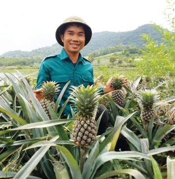 Làn sóng doanh nghiệp mới trong nông nghiệp đang dâng cao