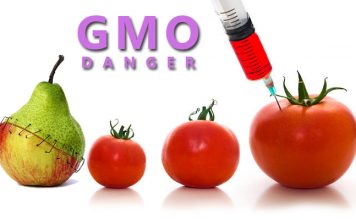 Quản lý ghi nhãn thực phẩm có chứa thành phần biến đổi gen