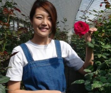 Làm giàu từ hoa hồng organic