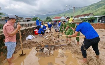 Hỗ trợ hóa chất, giống cây trồng, vật nuôi để khôi phục sản xuất sau lũ