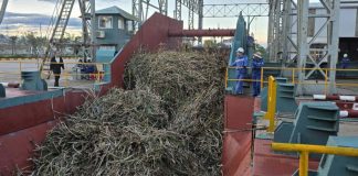 Nhà máy Đường An Khê vào vụ ép mới