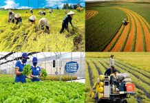 Doanh nghiệp kiến nghị cơ chế mở đường chuỗi giá trị nông nghiệp xanh