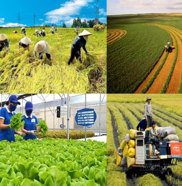 Doanh nghiệp kiến nghị cơ chế mở đường chuỗi giá trị nông nghiệp xanh