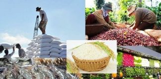 Thúc đẩy chuỗi cung ứng nông sản Việt Nam – Hoa Kỳ