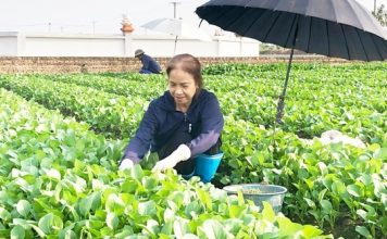 Xây dựng người nông dân Thủ đô thời kỳ mới