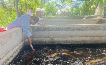 “Rời tay súng, chắc tay nghề” làm giàu trên miền quê Hà Tĩnh