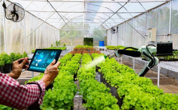 Gỡ ‘hòn đá tảng’ cản bước HTX chuyển đổi số