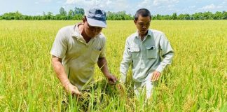 Năng suất lao động ngành nông nghiệp tăng trưởng cao nhưng giá trị thấp