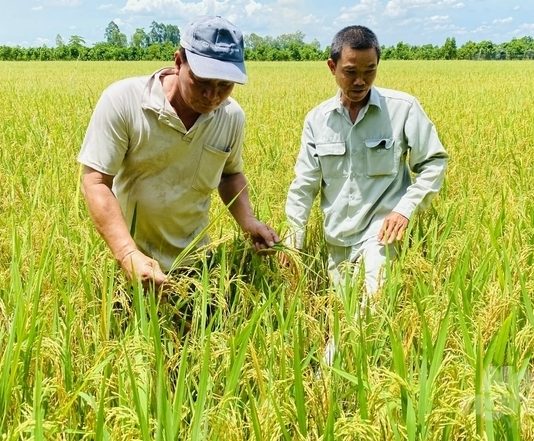 Năng suất lao động ngành nông nghiệp tăng trưởng cao nhưng giá trị thấp